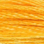 0742 муліне DMC 742 Light Tangerine
